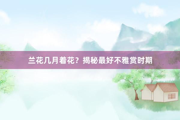 兰花几月着花？揭秘最好不雅赏时期