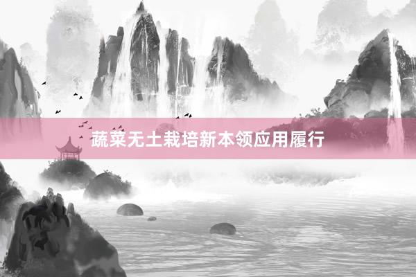 蔬菜无土栽培新本领应用履行