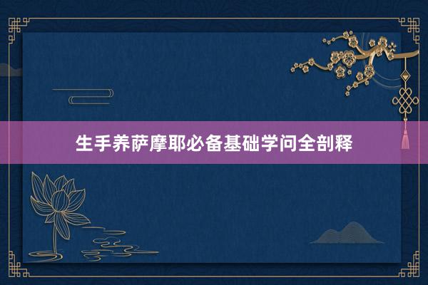 生手养萨摩耶必备基础学问全剖释