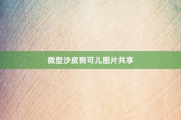 微型沙皮狗可儿图片共享