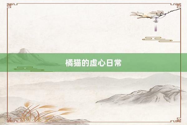 橘猫的虚心日常